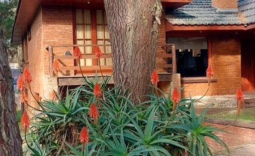 House in Cariló, Buenos Aires Province, Argentina 1