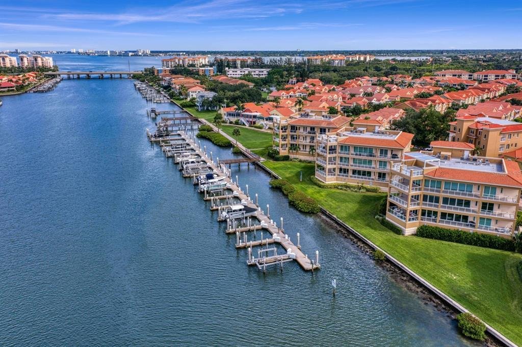 St. Petersburg, Florida, United States 3 - 18626679