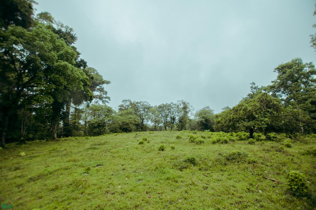 Land in Dos Ríos, Upala, Costa Rica 1 - 17979047
