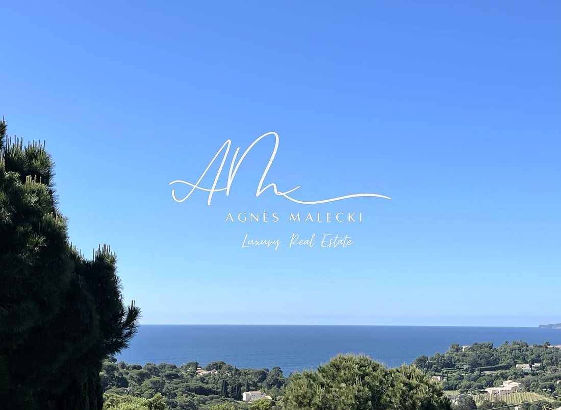 Estate in La Croix-Valmer, Provence-Alpes-Côte d'Azur, France 2 - 15765339