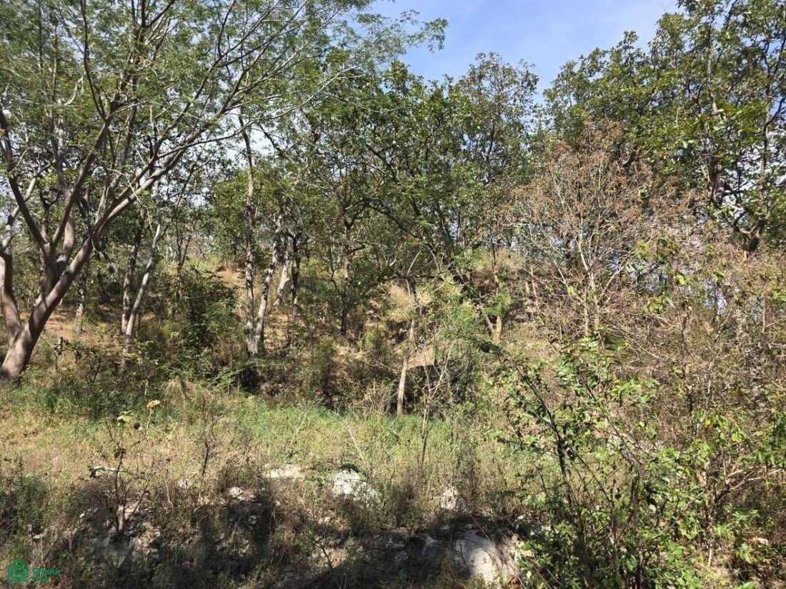 Land in Manzanillo, Colima, Mexico 2 - 17811059