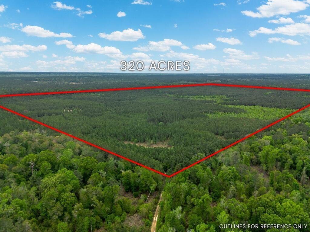 Land in Abbeville, Georgia, United States 2 - 18628086