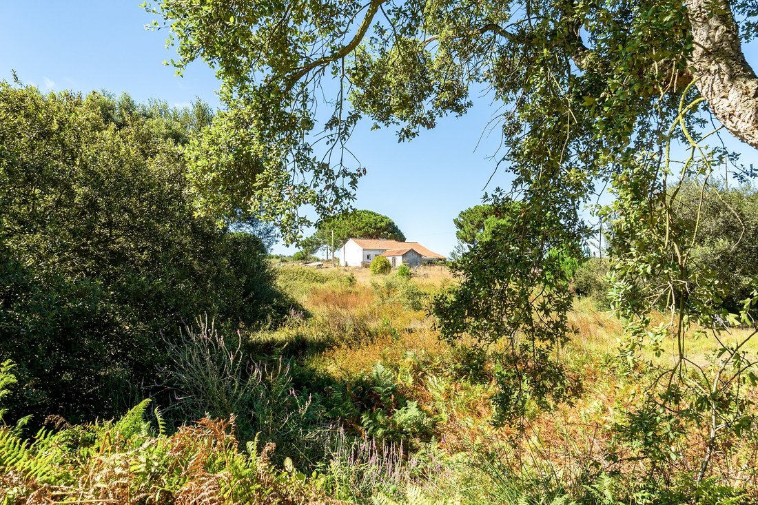 Finca in S.Teotónio, Beja District, Portugal 1 - 18629968