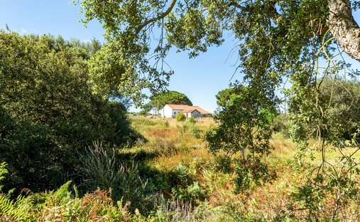 Finca in S.Teotónio, Beja District, Portugal 1