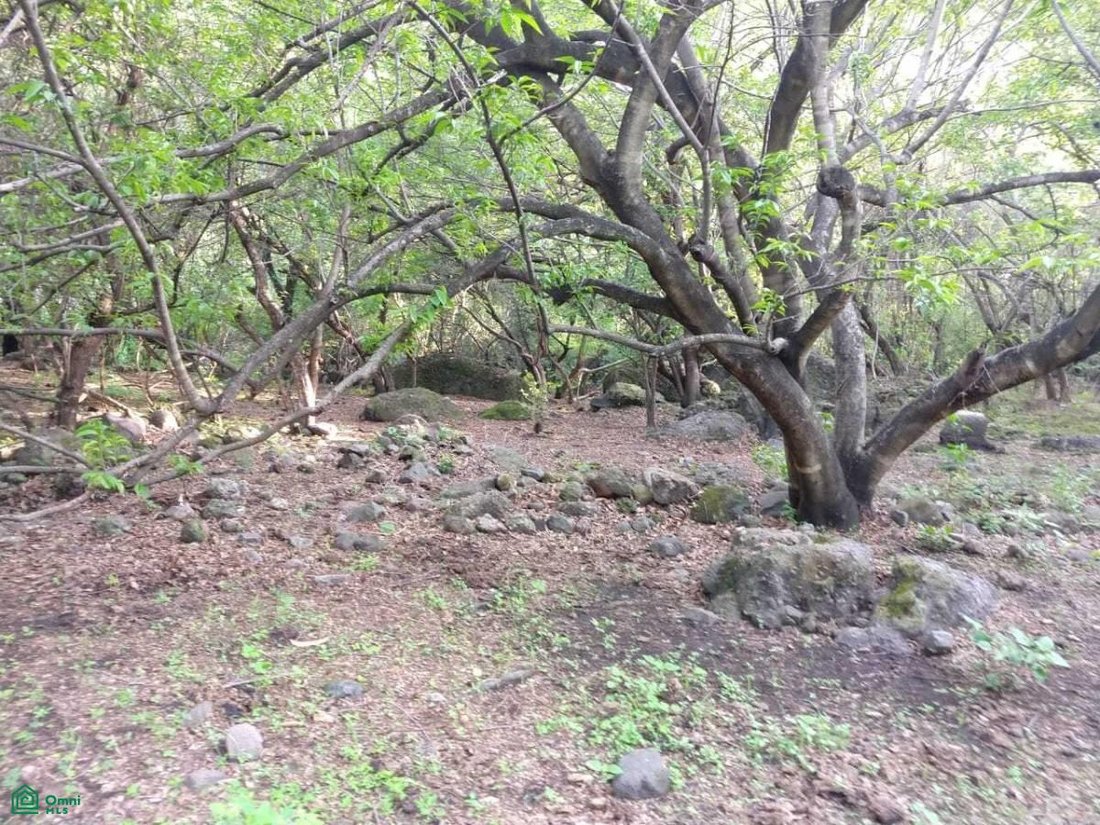 Land in El Golan, Morelos, Mexico 3 - 17814549