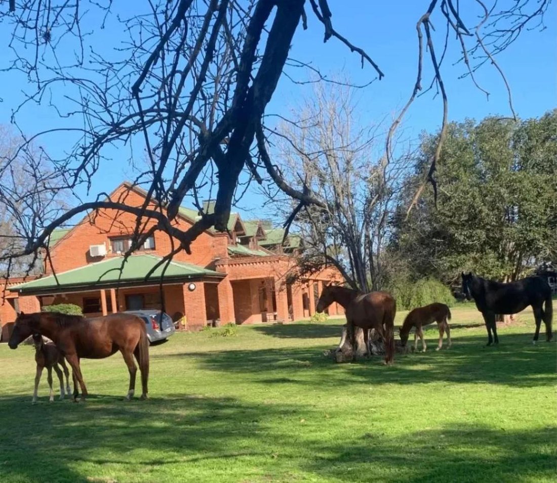House in Manzanares, Buenos Aires Province, Argentina 4 - 18627156