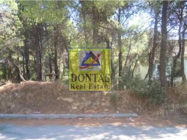 Land in Dionysos, Attica, Greece 2 - 16155962