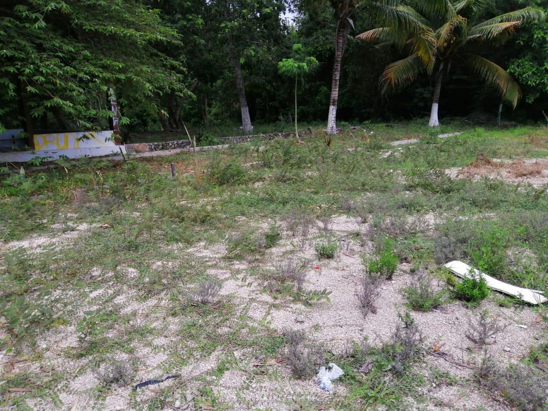 Land in Playa del Carmen, Quintana Roo, Mexico 2 - 18626628