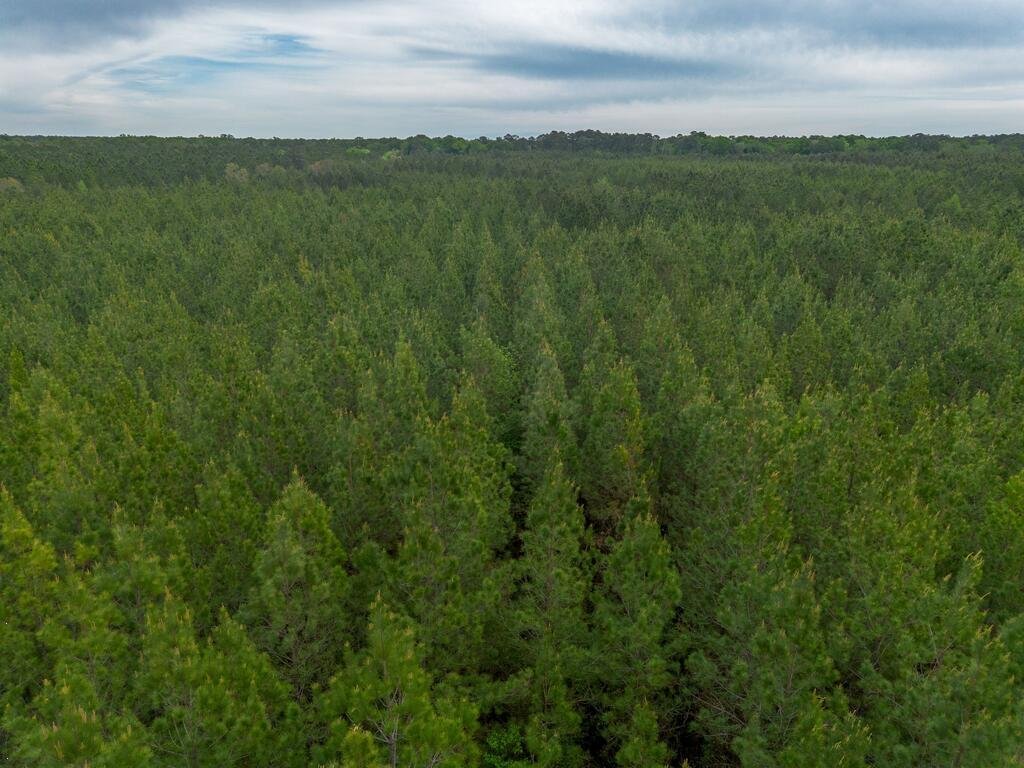 Land in Abbeville, Georgia, United States 4 - 18628086