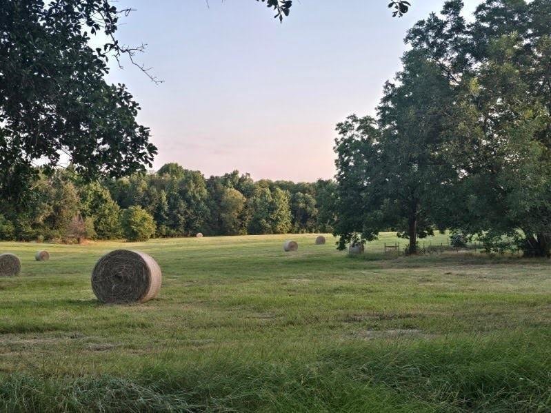 House in Arp, Texas, United States 1 - 18629385