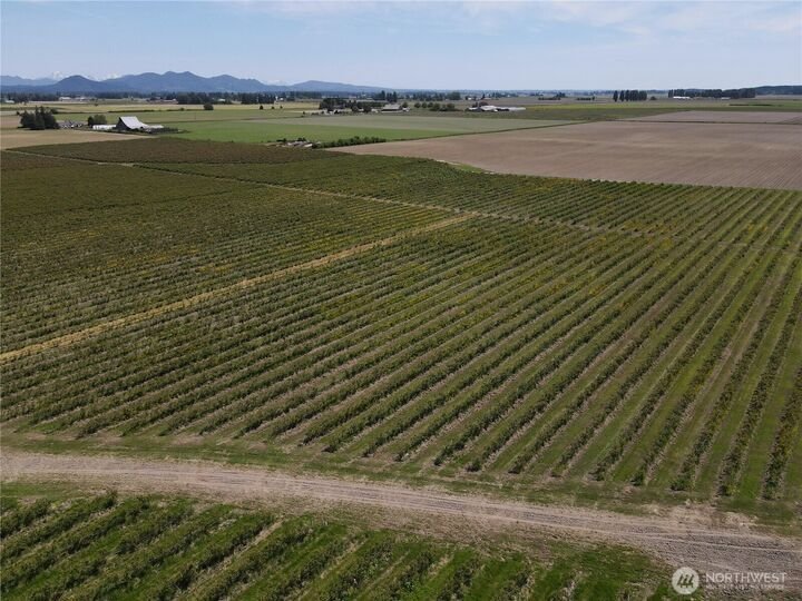 Land in Mount Vernon, Washington, United States 4 - 17637594