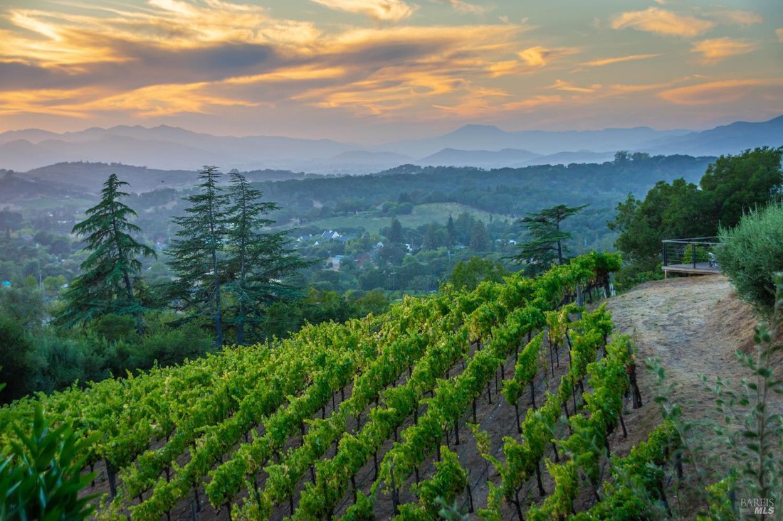 House in Napa, California, United States 4 - 18627664