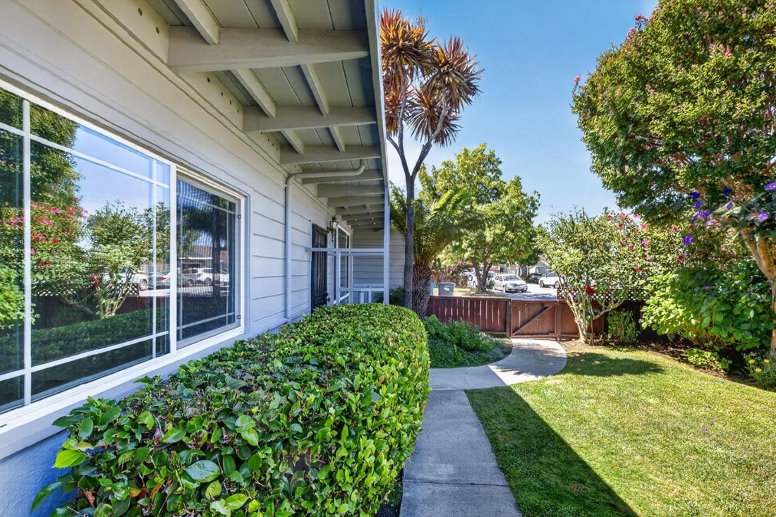 House in San Mateo, California, United States 4 - 18629483