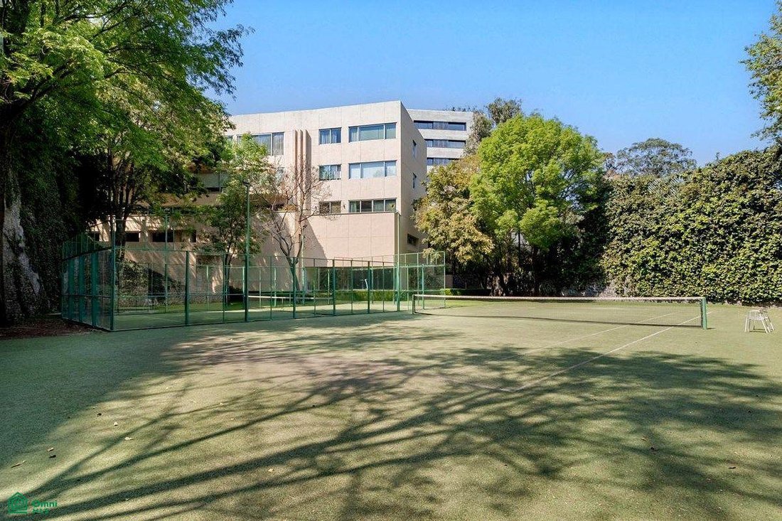 Condo in Mexico City, Mexico 5 - 18399765