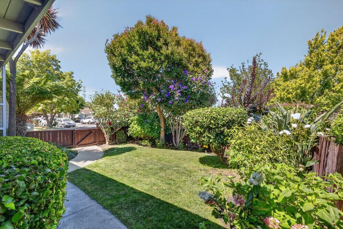 House in San Mateo, California, United States 5 - 18629483