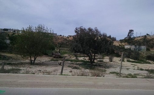 Terrain à Tijuana, Basse-Californie, Mexique 1
