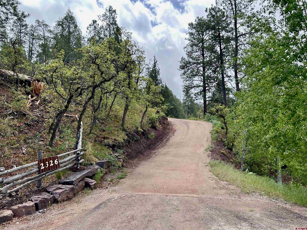 House in Durango, Colorado, United States 2 - 17892649