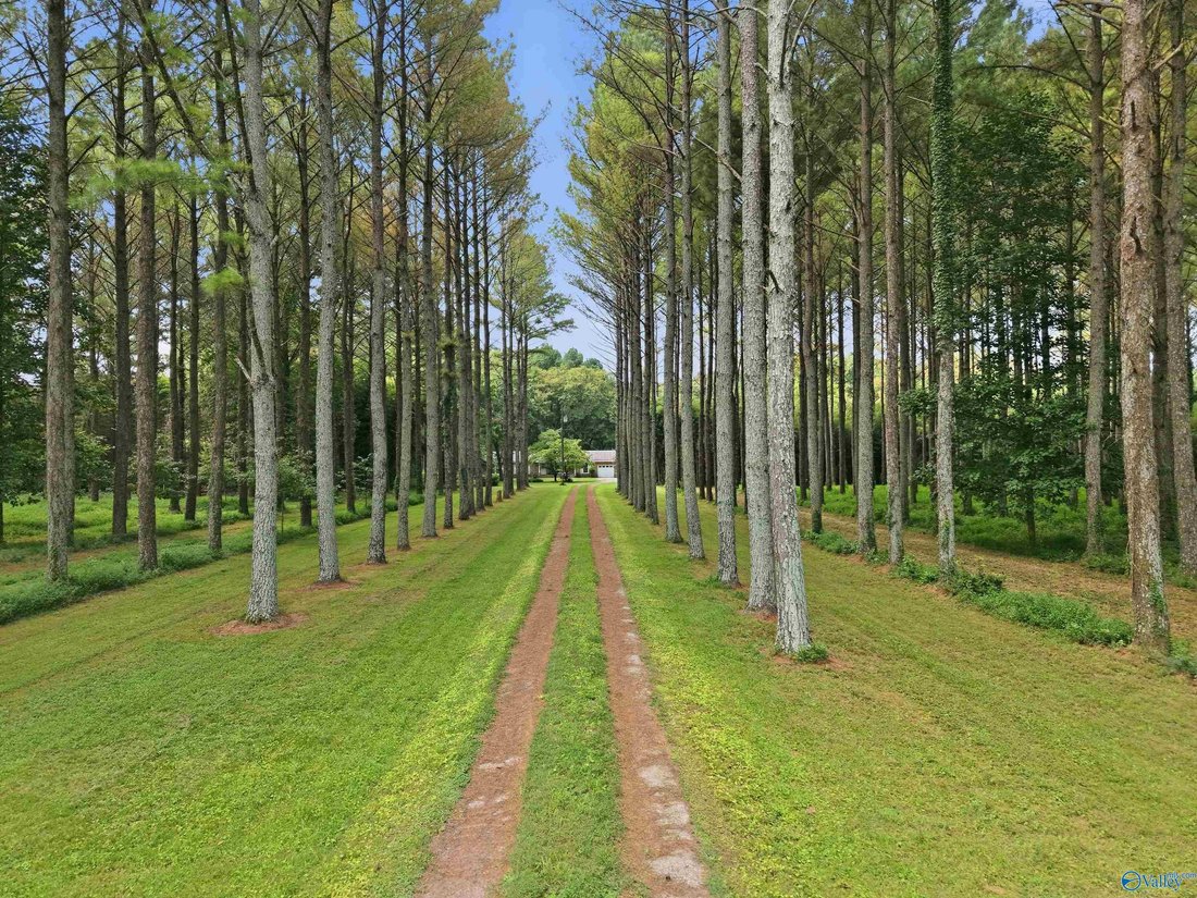 Land in Owens Cross Roads, Alabama, United States 3 - 18628158