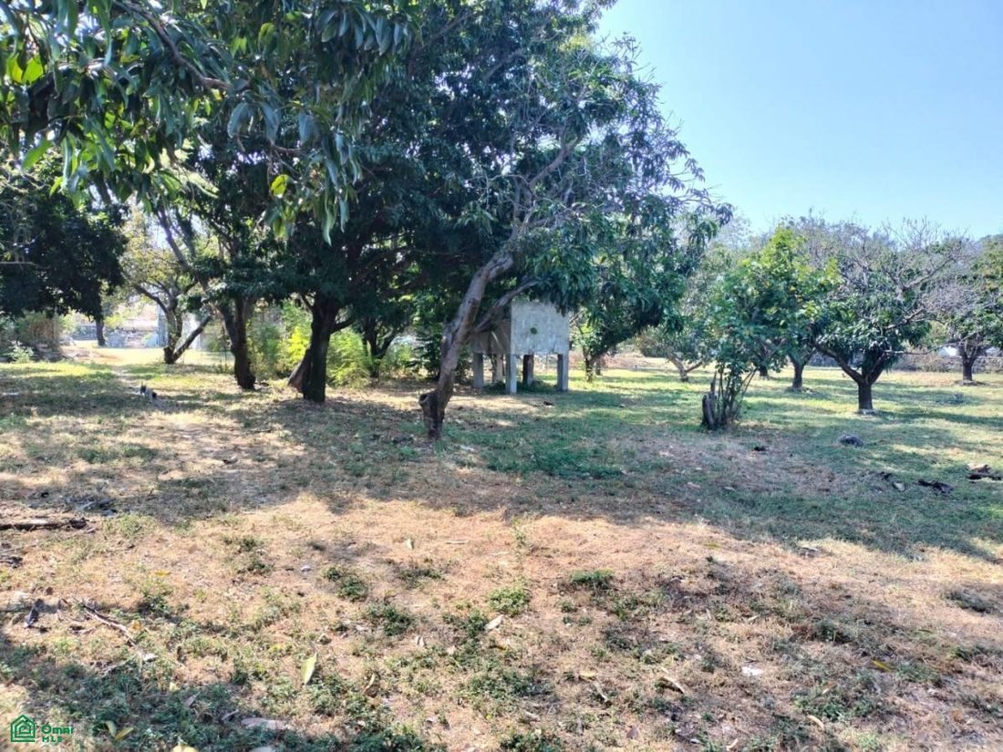 Land in Miacatlán, Morelos, Mexico 3 - 17815055