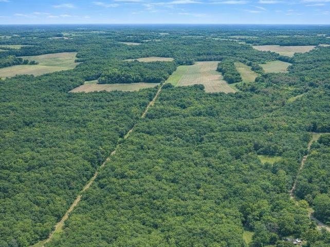 Land in Smoaks, South Carolina, United States 5 - 18628172