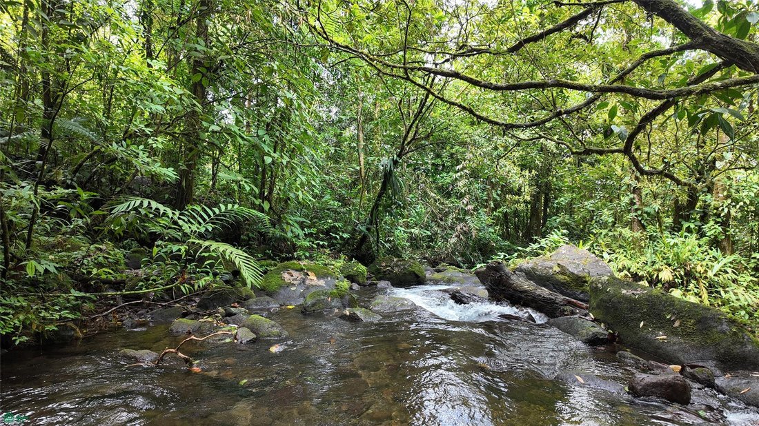 Land in Bijagua, Upala, Costa Rica 4 - 18321239