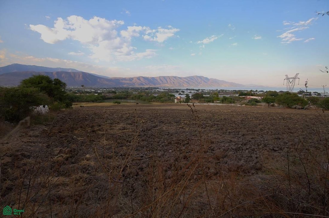 Land in San Martin, Jalisco, Mexico 3 - 17845434
