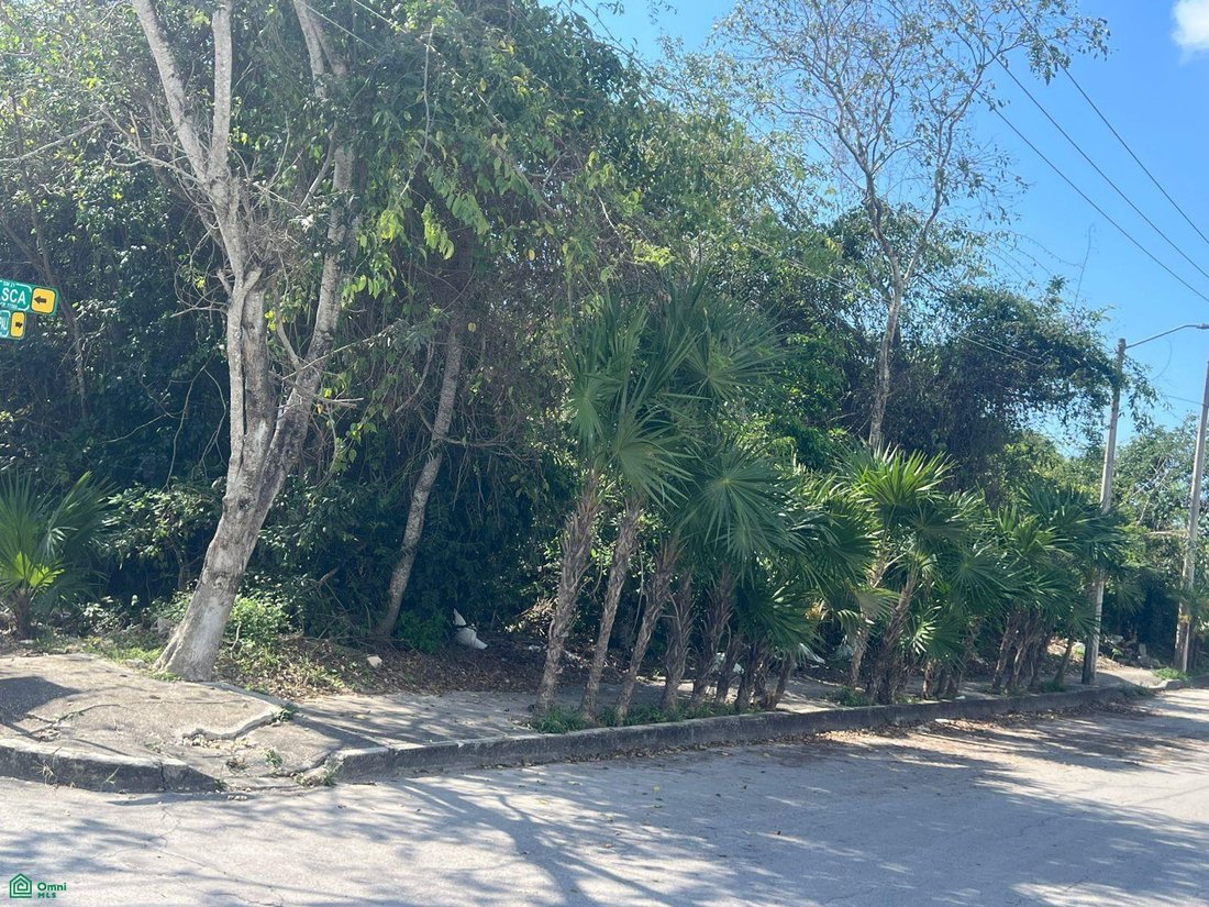 Land in Puerto Morelos, Quintana Roo, Mexico 1 - 18183868