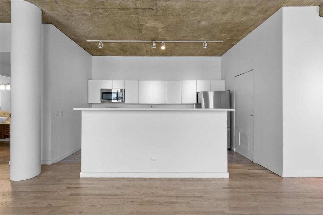 Condo in Chicago, Illinois, United States 5 - 18628625