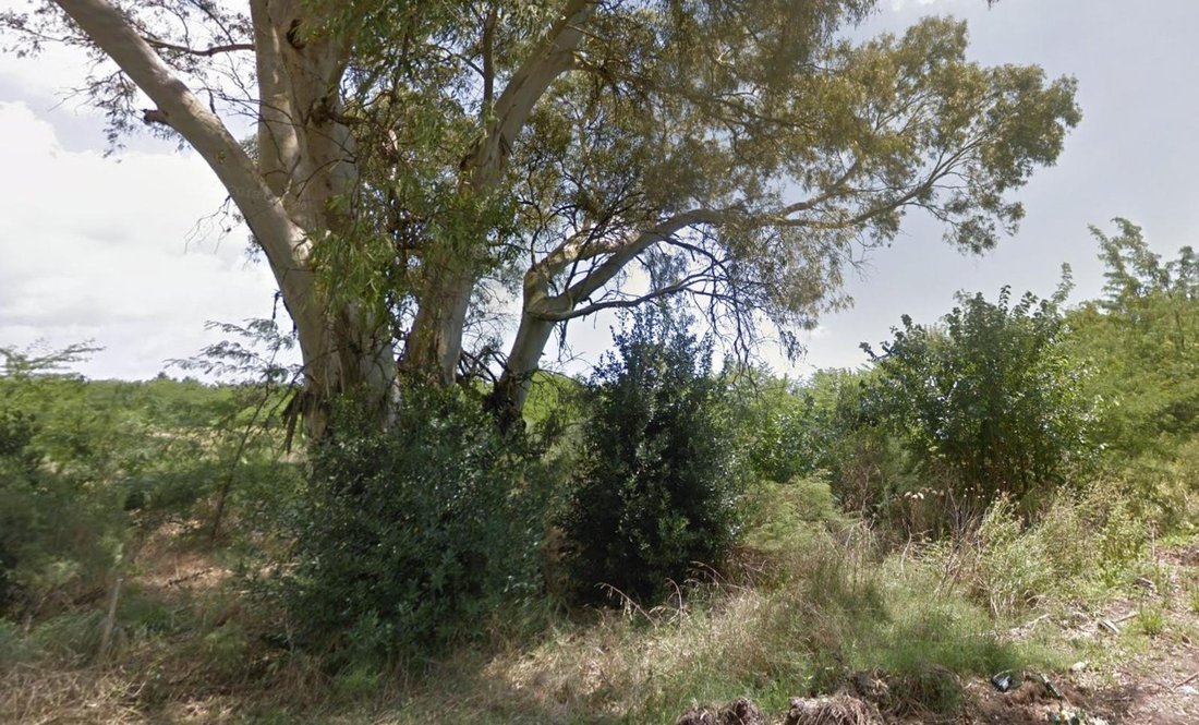 Land in Lisandro Olmos, Buenos Aires Province, Argentina 1 - 18627181