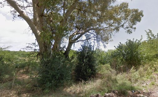 Land in Lisandro Olmos, Buenos Aires Province, Argentina 1