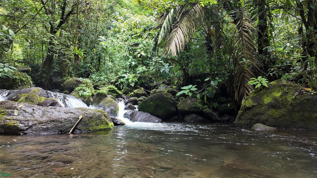 Land in Bijagua, Upala, Costa Rica 3 - 18321239