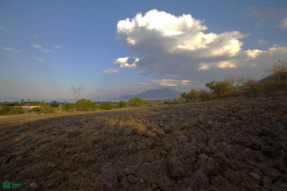 Land in San Martin, Jalisco, Mexico 4 - 17845434