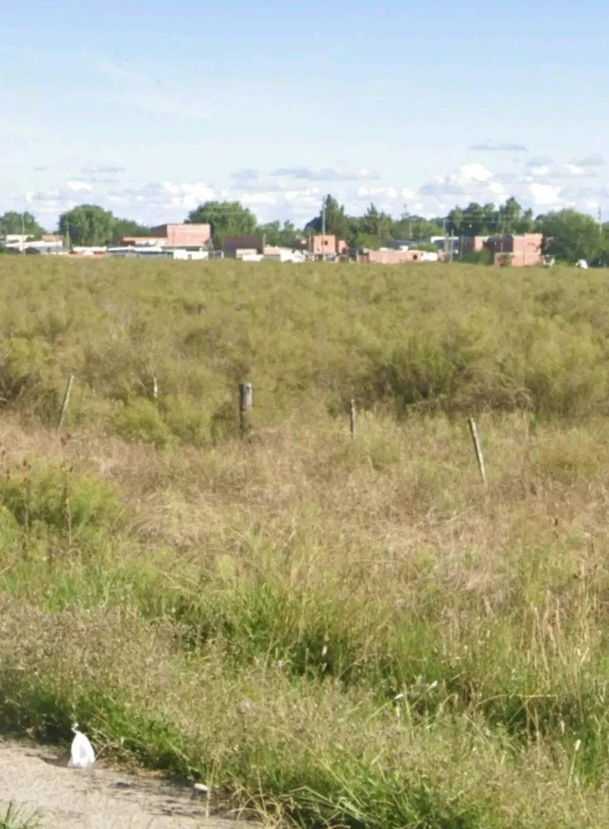 Land in Arana, Buenos Aires Province, Argentina 1 - 18627374