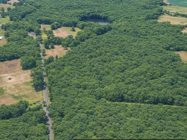 Land in Smoaks, South Carolina, United States 3 - 18628172