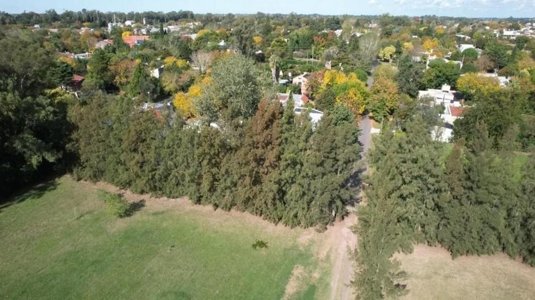 Land in Lisandro Olmos, Buenos Aires Province, Argentina 5 - 18627008