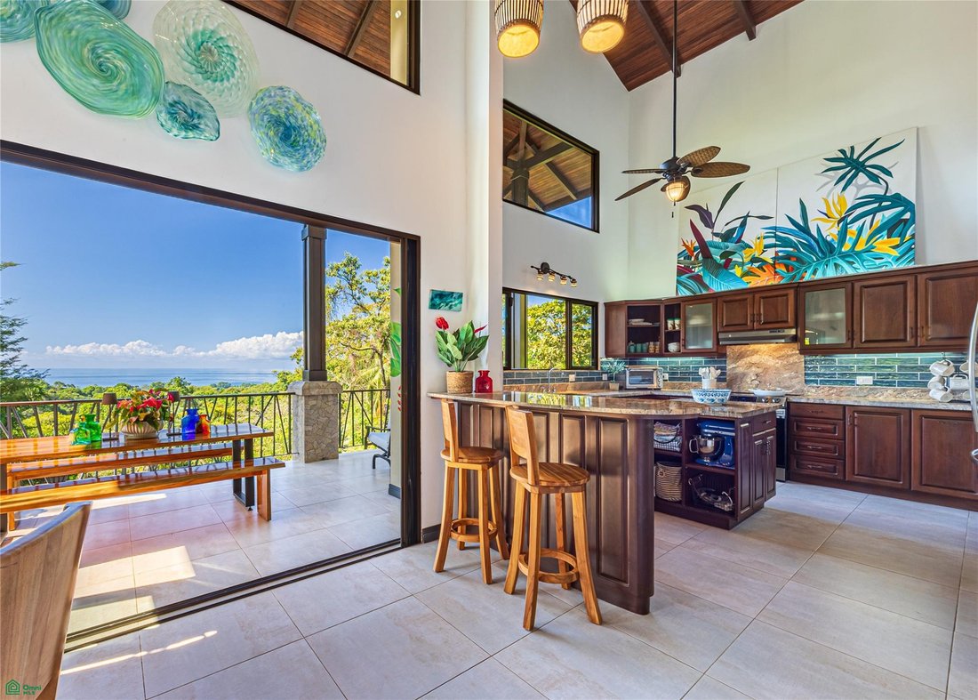 House in Bahía Ballena, Osa, Costa Rica 2 - 17390159