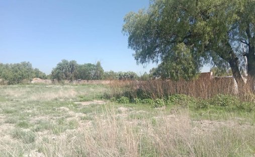 Land in San Martín Azcatepec, State of Mexico, Mexico 1
