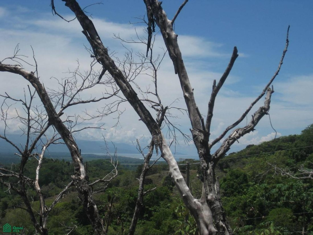 Land in Quepos, Provinz Puntarenas, Costa Rica 2 - 17811227