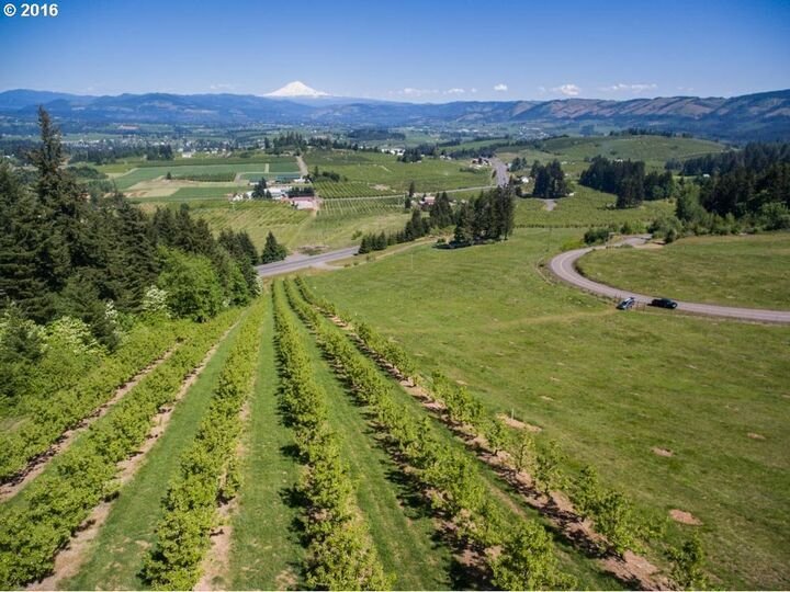 House in Hood River, Oregon, United States 2 - 17637610