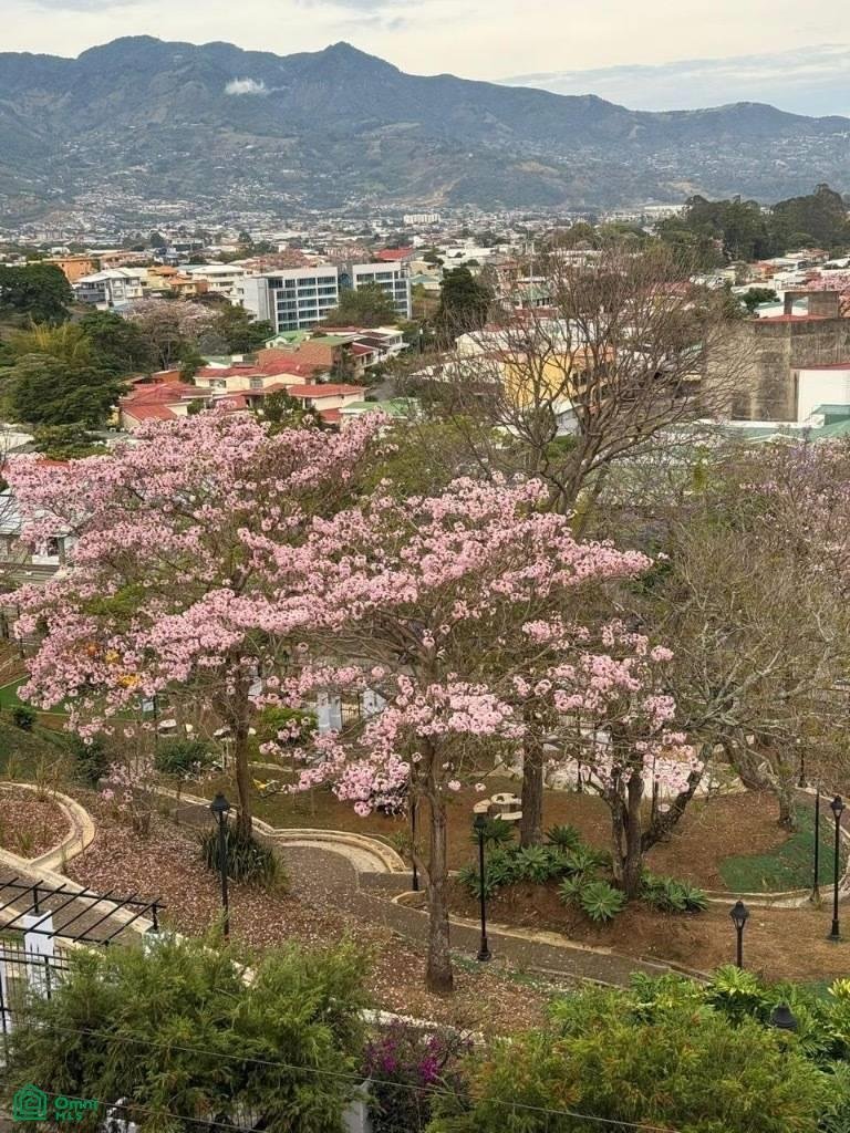 Condominio en San Pedro, San José, Costa Rica 4 - 18407876