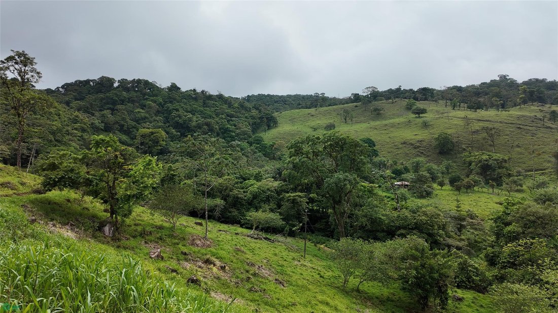 Land in Bijagua, Upala, Costa Rica 5 - 18321239