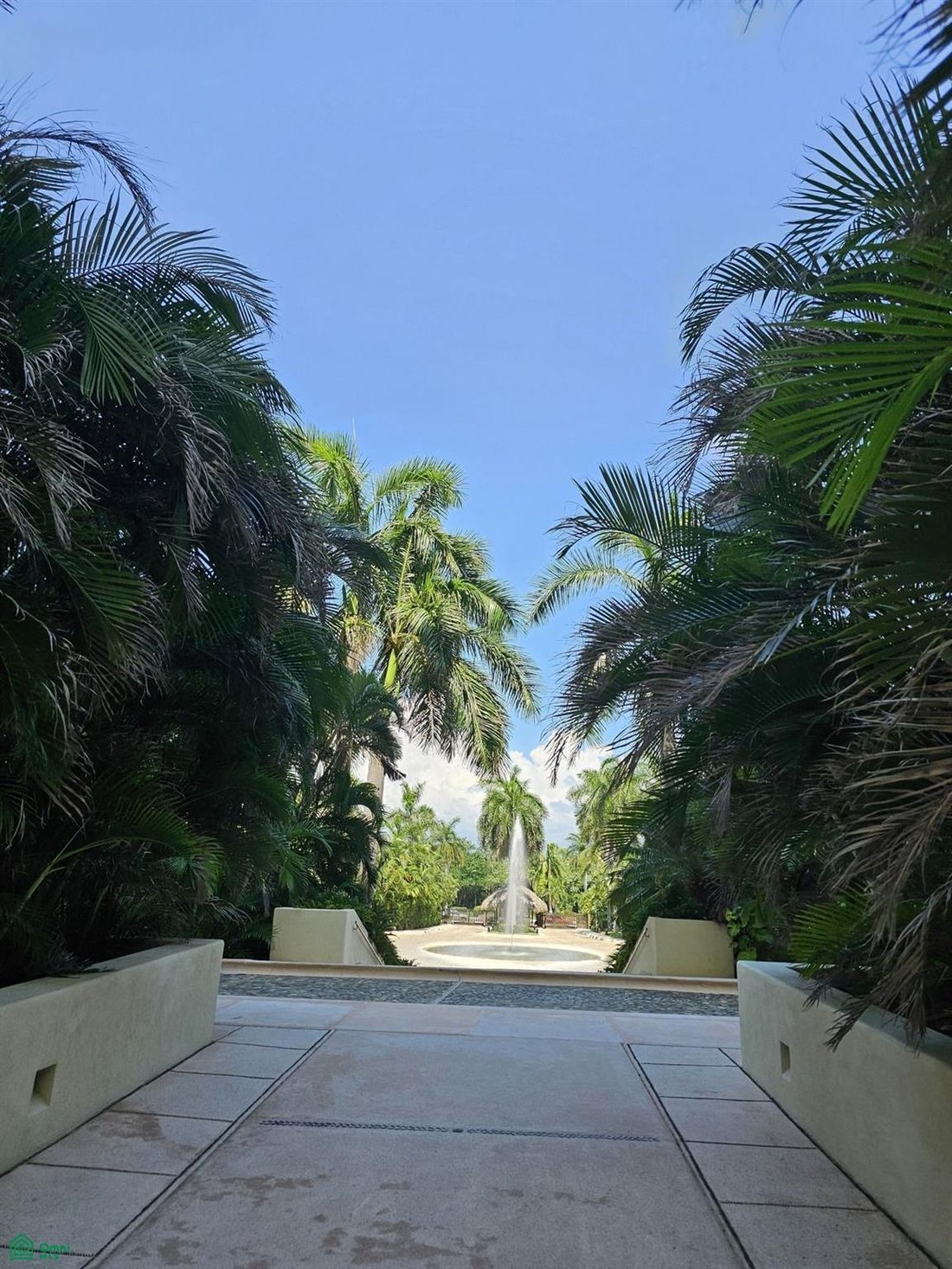 Condo in Ixtapa Zihuatanejo, Guerrero, Mexico 4 - 17504112