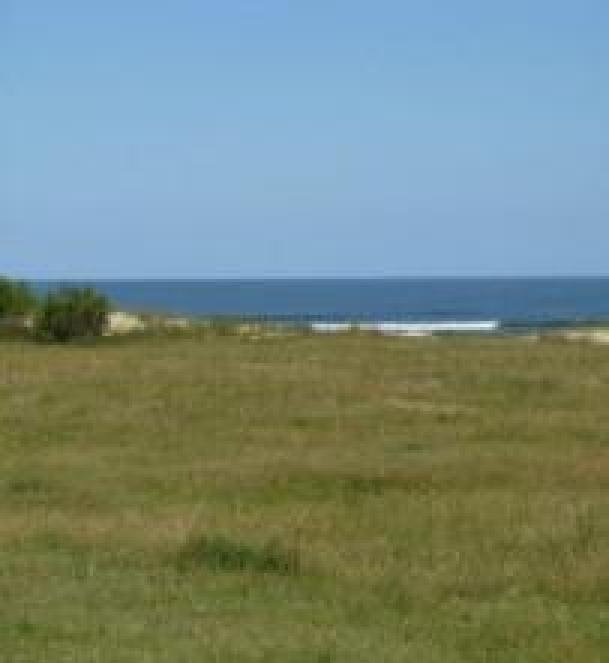 Land in Brasil, State of Rio Grande do Sul, Brazil 5 - 18627103