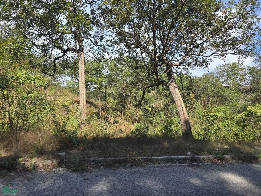 Land in Manzanillo, Colima, Mexico 1 - 17811059