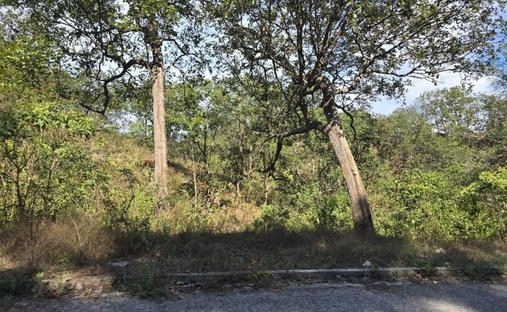 Land in Manzanillo, Colima, Mexico 1