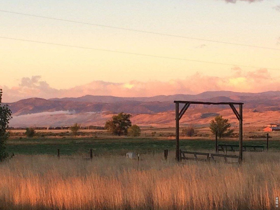 Wellington, Colorado, United States 2 - 18413266