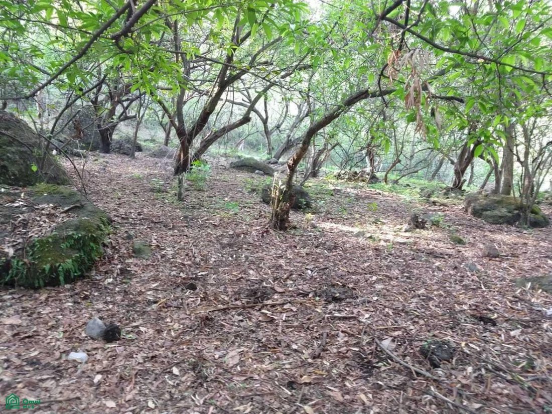 Land in El Golan, Morelos, Mexico 2 - 17814549