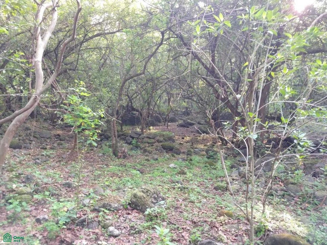 Land in El Golan, Morelos, Mexico 5 - 17814549