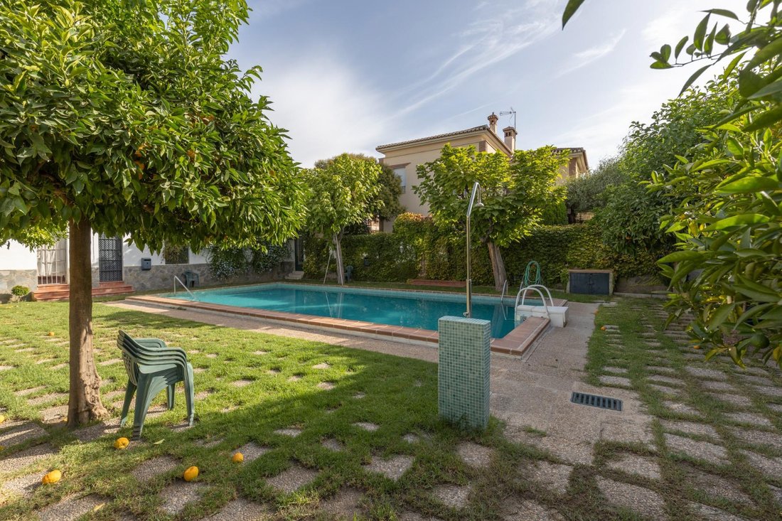 Genil, Granada, Spain 1 - 18629633