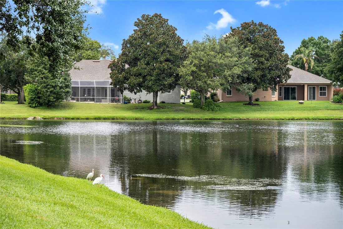 House in Oviedo, Florida, United States 5 - 18628950